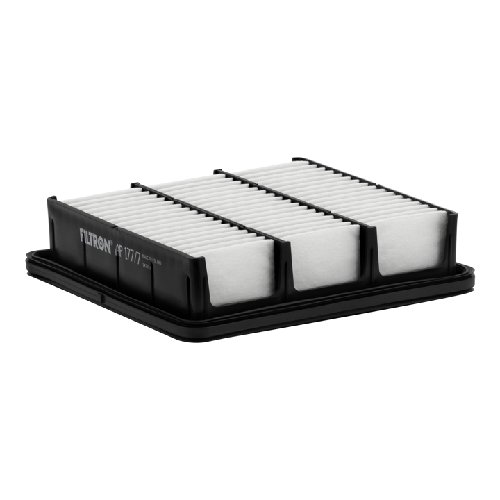 AP1777 Filtron Air filter