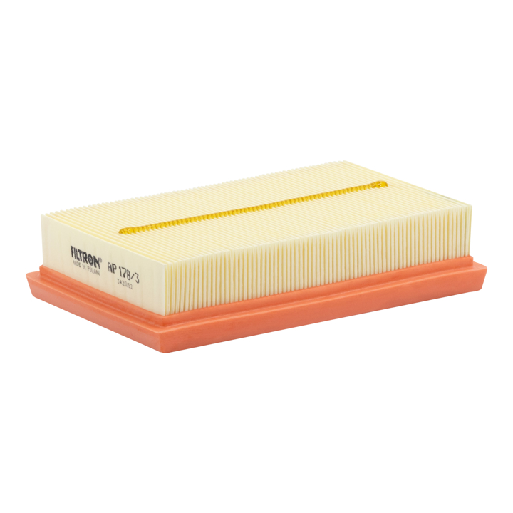 AP1783 Filtron Air filter
