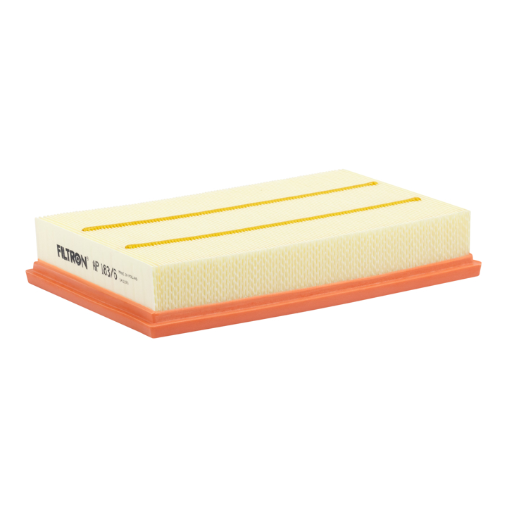 Car air filter Audi: AP1836 Filtron Air filter