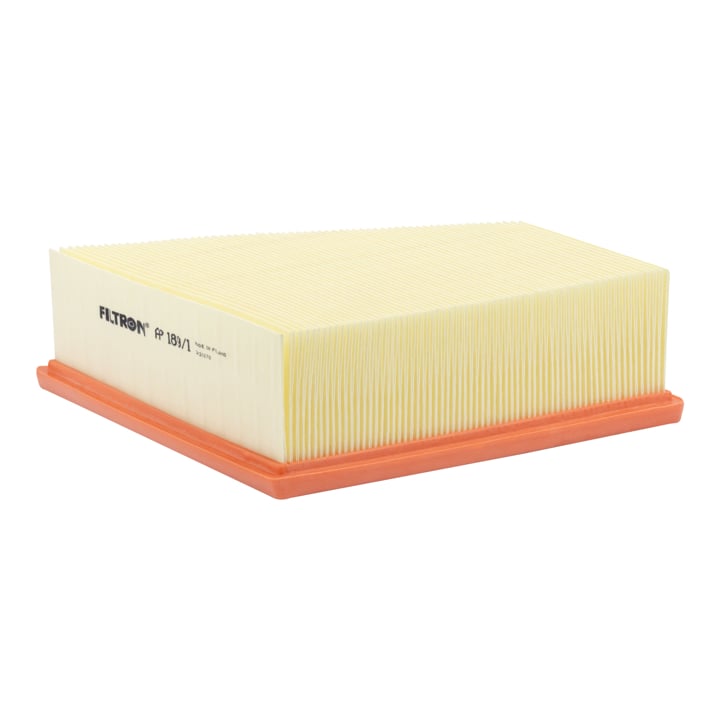 Filtron AP 189/1 Air filter AP1891 AP1891 Filtron Air filter