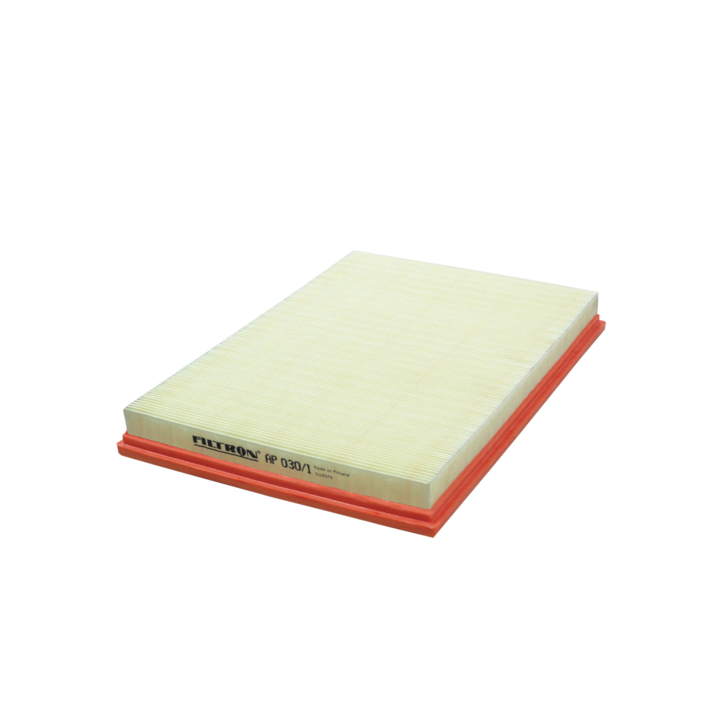 Filtron AP 030/1 Air filter AP0301 AP0301 Filtron Air filter