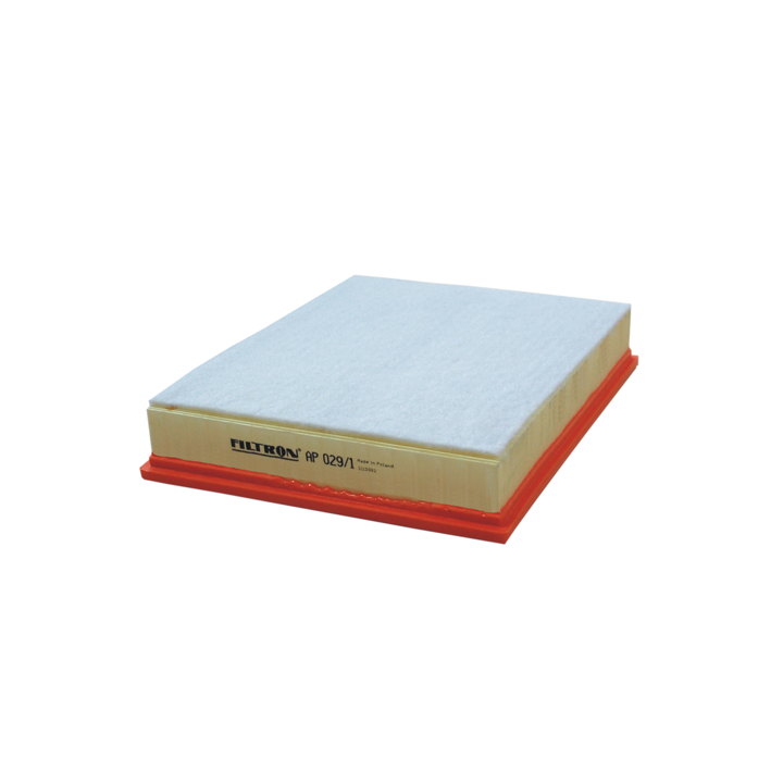 AP0291 Filtron Air filter