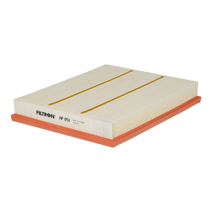 AP051 Filtron Air filter