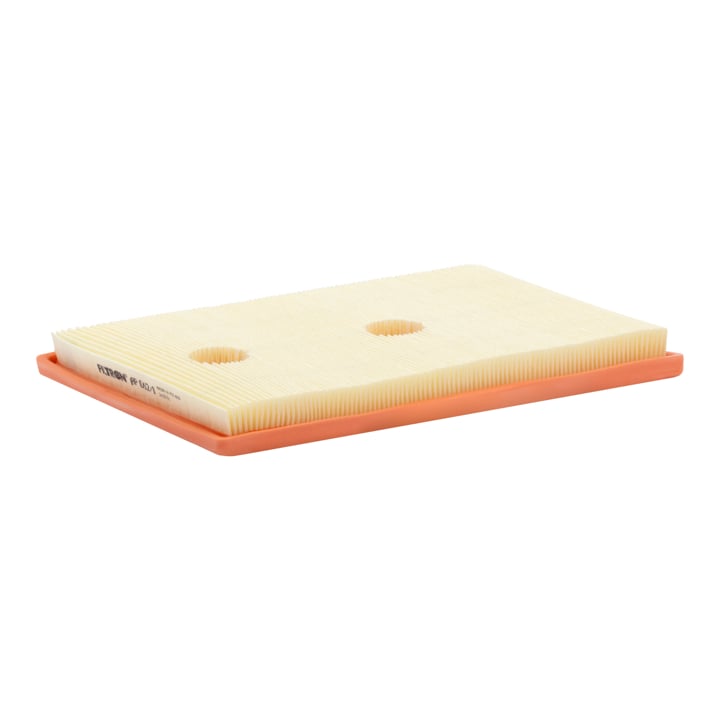 AP0621 Filtron Air filter