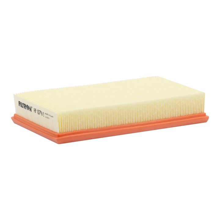 Filtron AP 074/1 Air filter AP0741 AP0741 Filtron Air filter