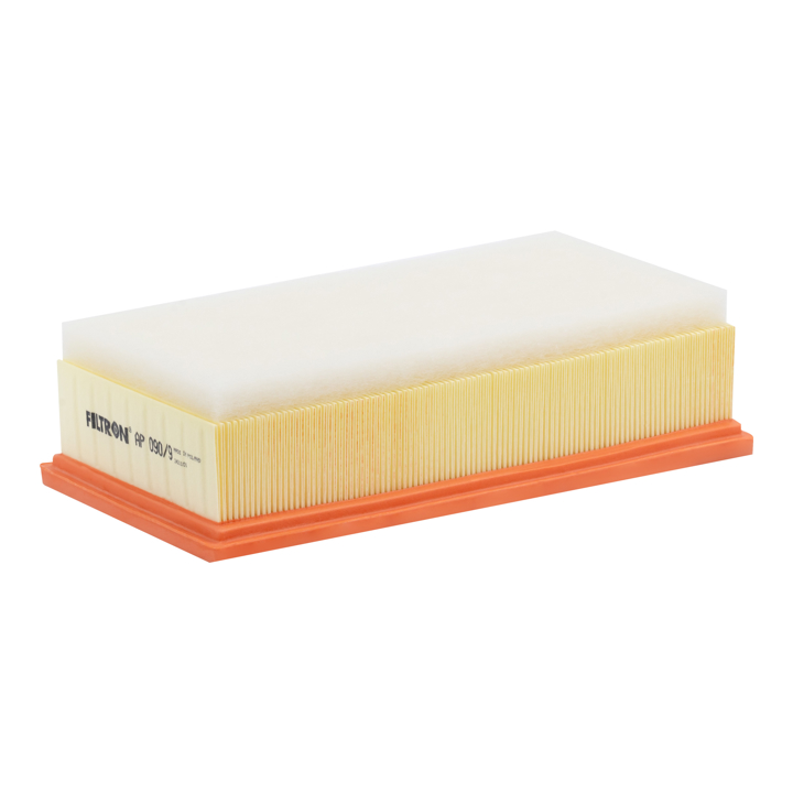 Filtron AP 090/9 Air filter AP0909 AP0909 Filtron Air filter