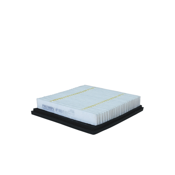 Air filter Dodge: AP0931 Filtron Air filter
