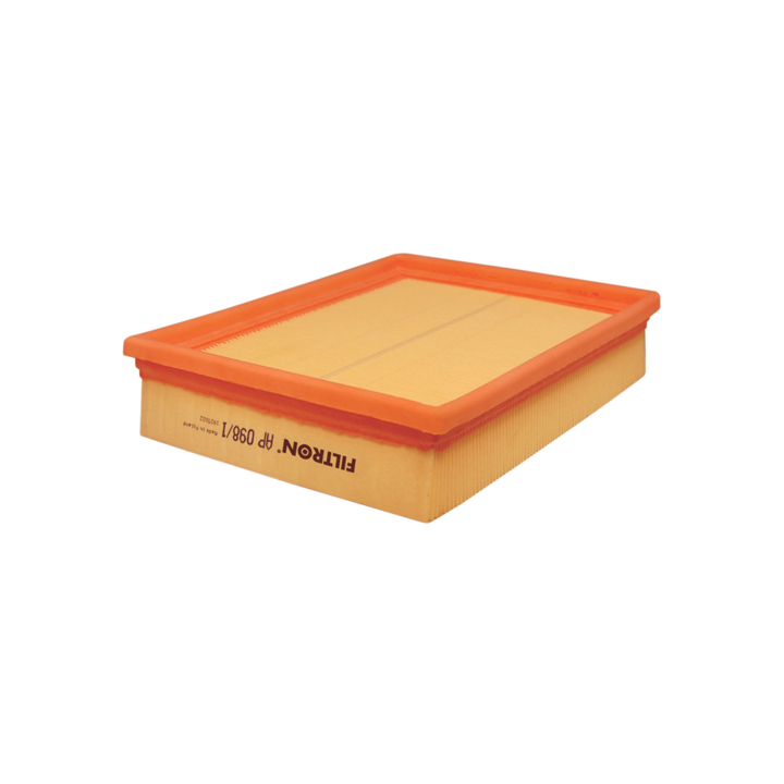 Air filter Fiat Multipla: AP0981 Filtron Air filter
