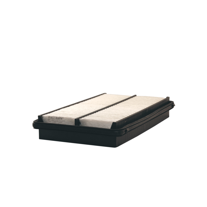 Filtron AP 102/2 Air filter AP1022 AP1022 Filtron Air filter