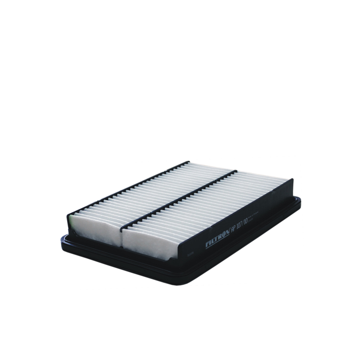Filtron AP 107/10 Air filter AP10710 AP10710 Filtron Air filter