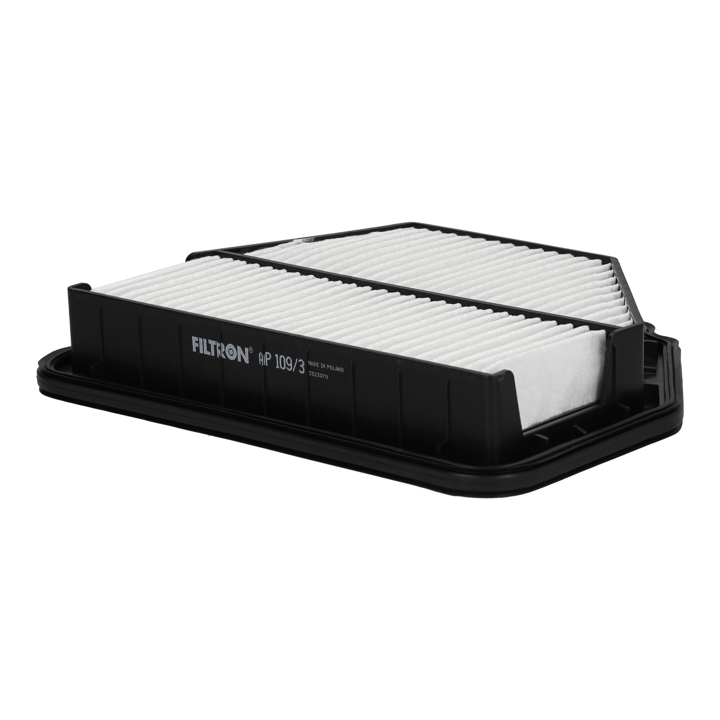 Car air filter Daewoo Winstorm: AP1093 Filtron Air filter