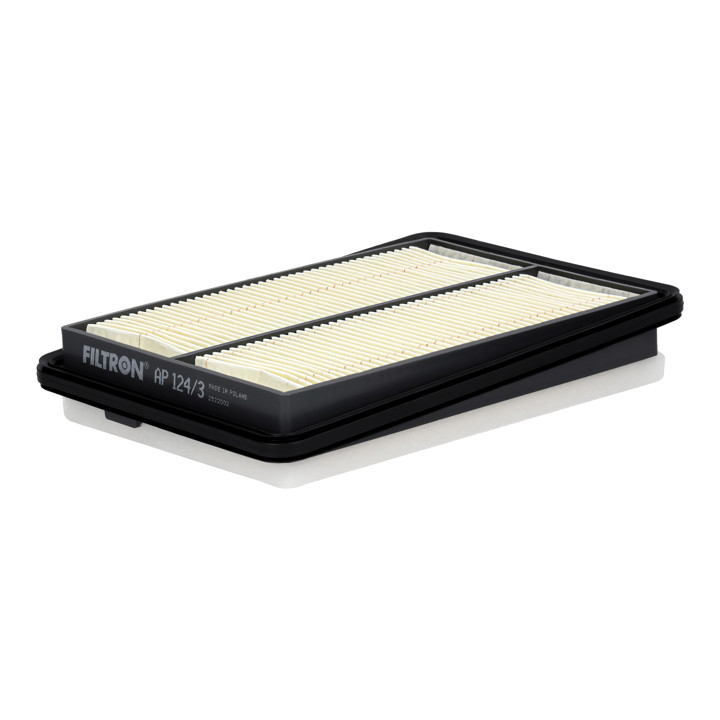 Filtron AP 124/3 Air filter AP1243 AP1243 Filtron Air filter