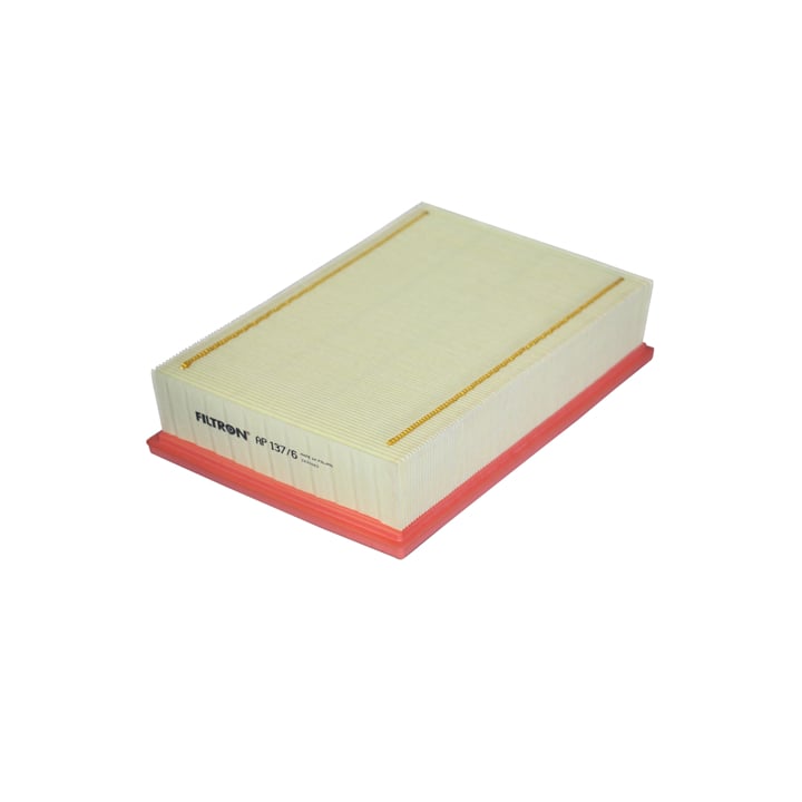 AP1376 Filtron Air filter