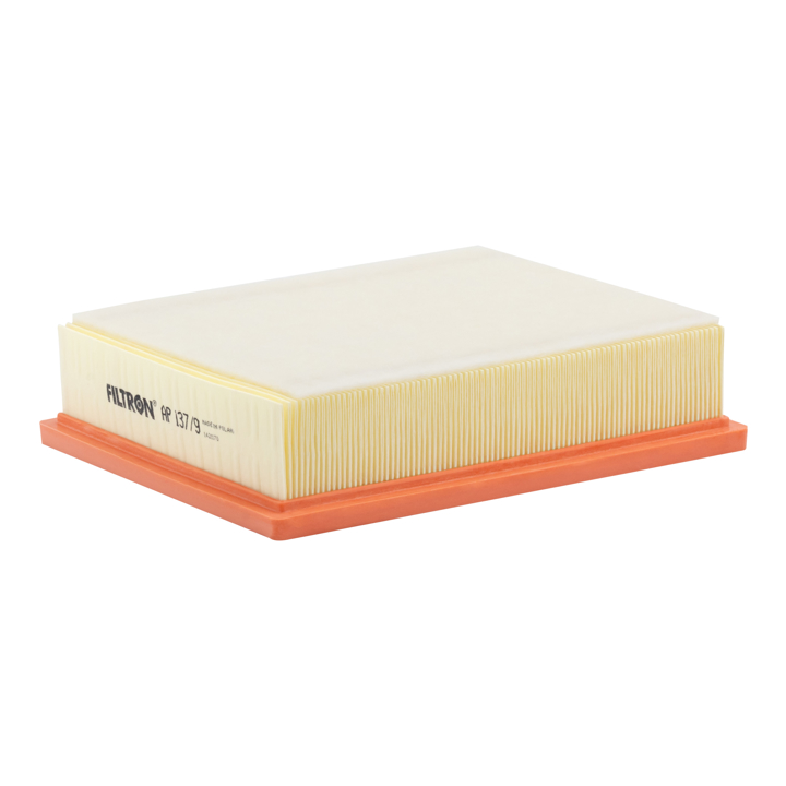 Filtron AP 137/9 Air filter AP1379 AP1379 Filtron Air filter
