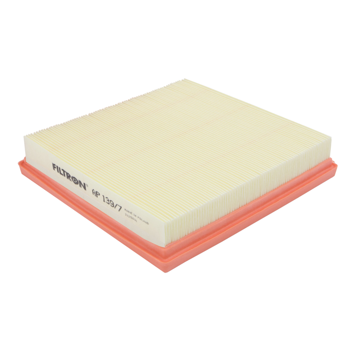 AP1397 Filtron Air filter