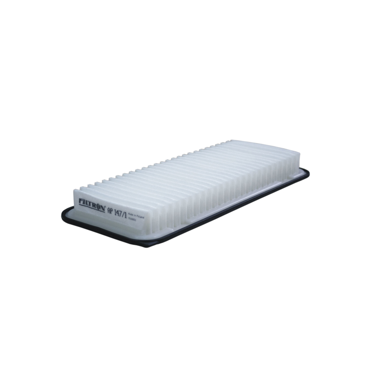 Filtron AP 147/1 Air filter AP1471 AP1471 Filtron Air filter