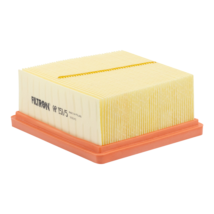 AP1515 Filtron Air filter