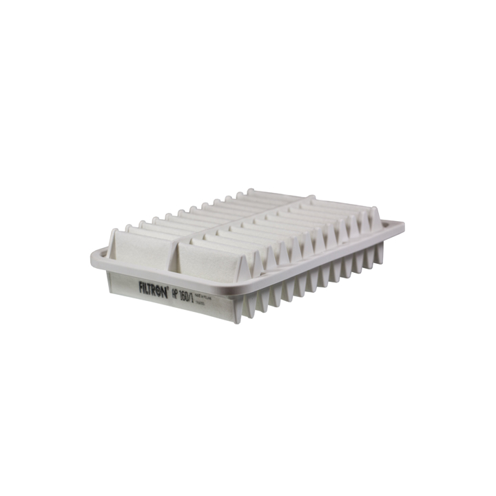 AP1601 Filtron Air filter