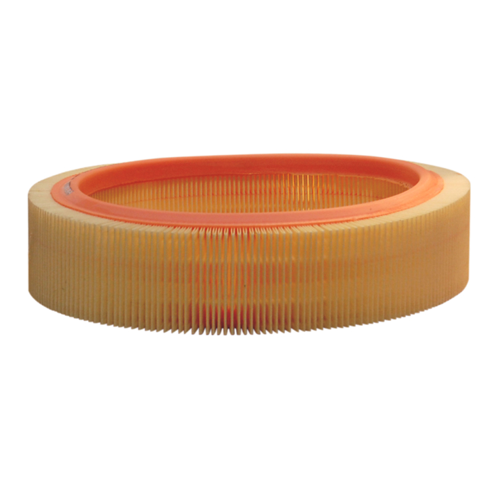 Car air filter Renault 19: AR229 Filtron Air filter