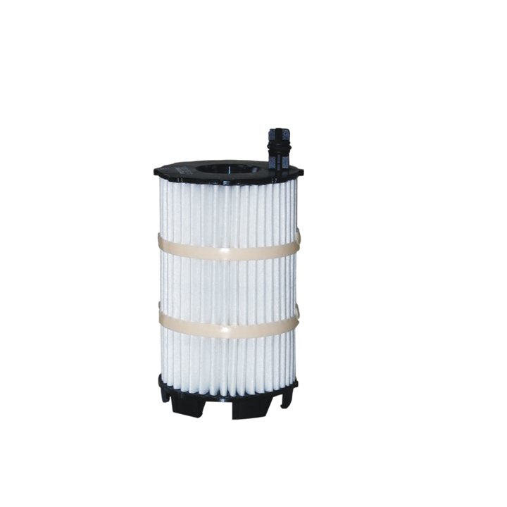 Car oil filter Lamborghini: OE6505 Filtron Oil Filter