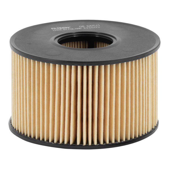 Filtron OE 665/1 Oil Filter OE6651 OE6651 Filtron Oil Filter