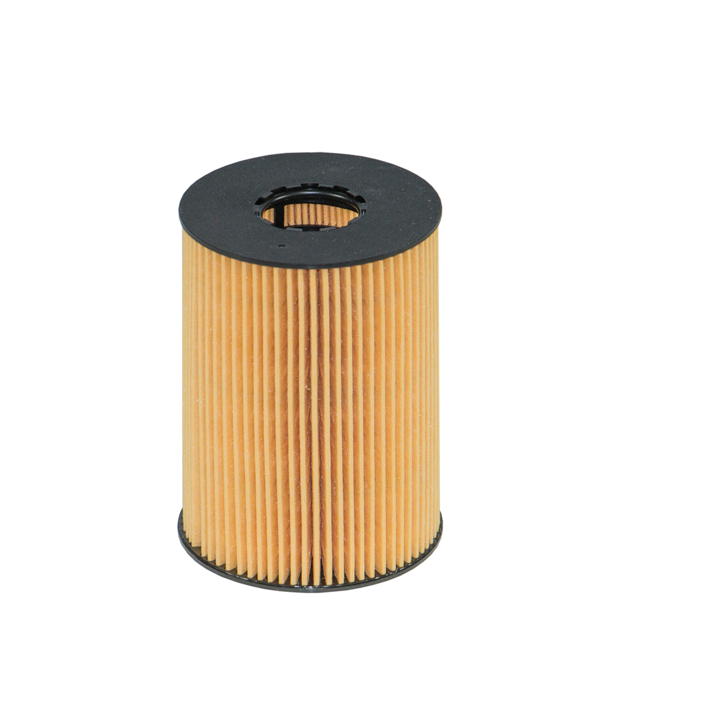 Filtron OE 669/1 Oil Filter OE6691 OE6691 Filtron Oil Filter