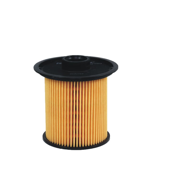 Engine fuel filter Dacia: PE8152 Filtron Fuel filter