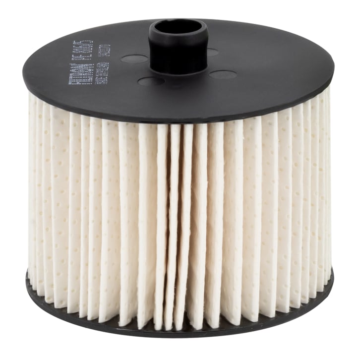 PE8165 Filtron Fuel filter