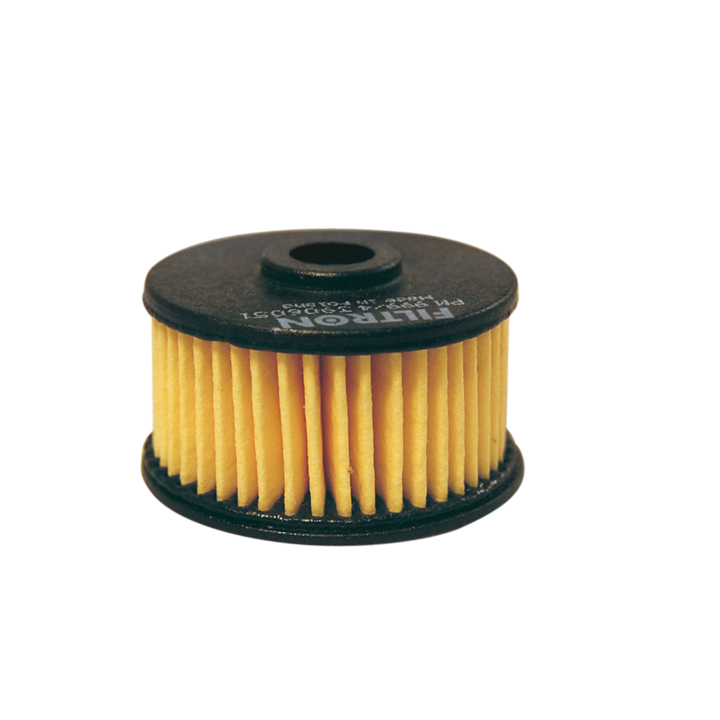 PM9994 Filtron Gas filter