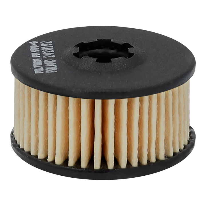 PM9996 Filtron Gas filter