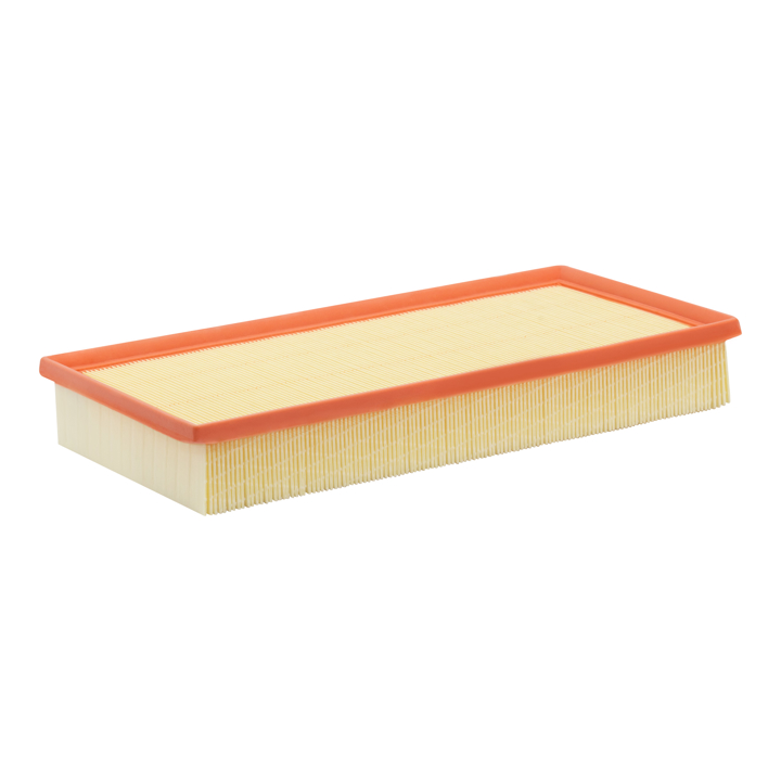 Air filter Filtron AP 004/3