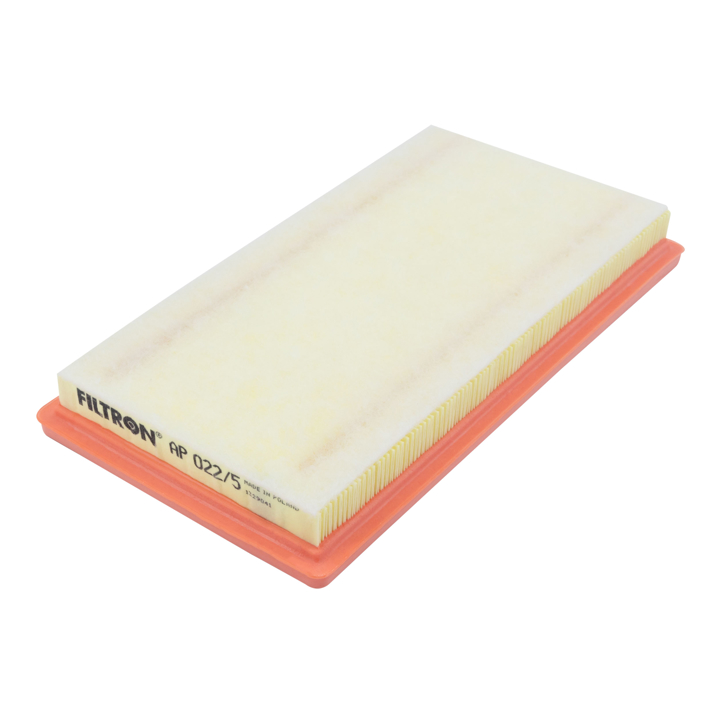 Air filter Filtron AP 022/5