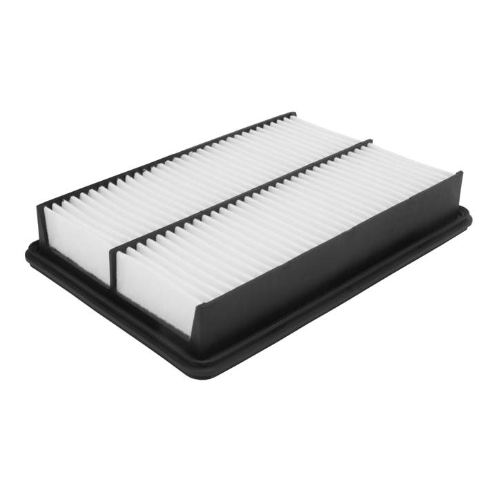 Air filter Filtron AP 113/6