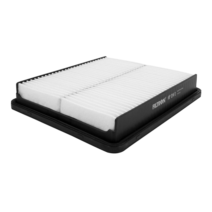 Buy Filtron AP 114/1 at a low price in United Arab Emirates!