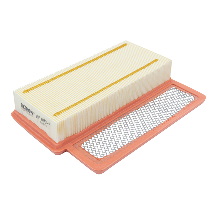 Buy Filtron AP 098/5 at a low price in United Arab Emirates!