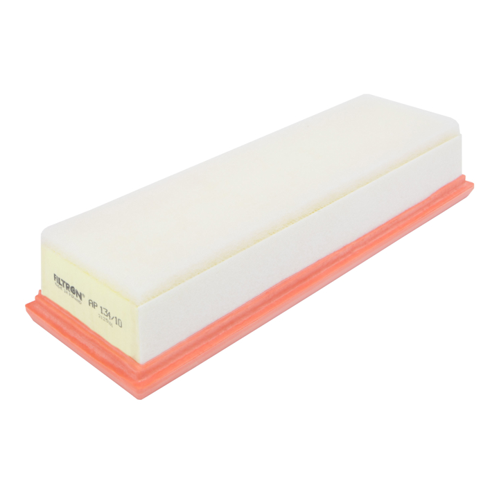 Air filter Filtron AP 134/10
