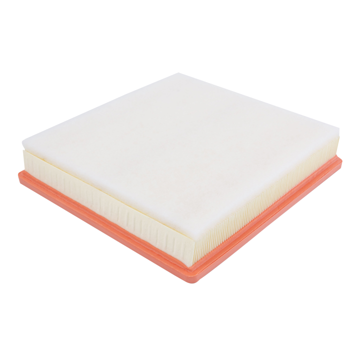 Air filter Filtron AP 137/3