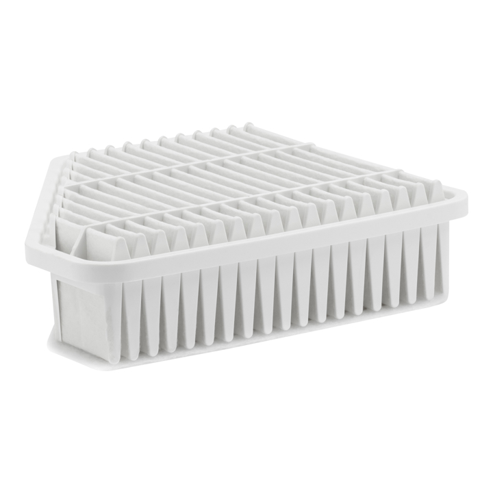 Air filter Filtron AP 144/3