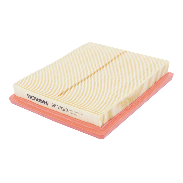 Air filter Filtron AP 170/3