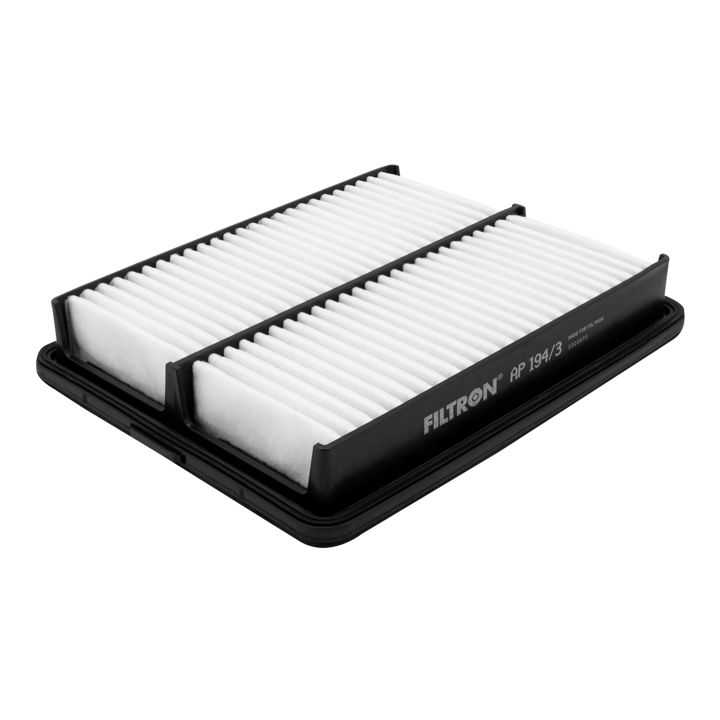 Buy Filtron AP 194/3 at a low price in United Arab Emirates!