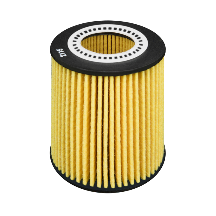 Oil Filter Filtron OE 6676