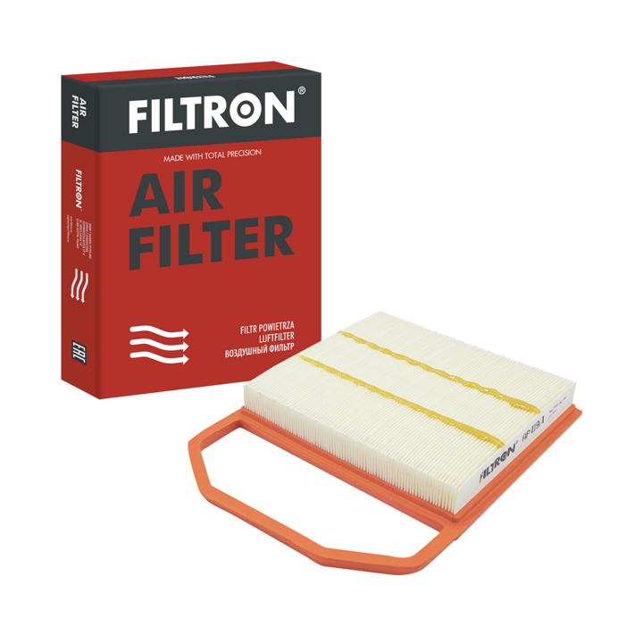 Air filter Filtron AP 119/1