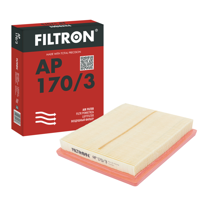 Buy Filtron AP 170/3 at a low price in United Arab Emirates!