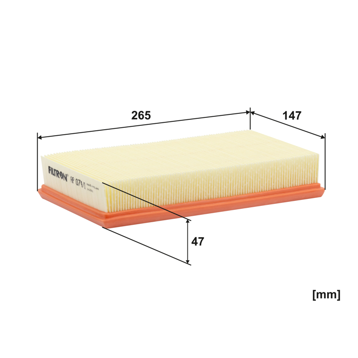 Air filter Filtron AP 074/1