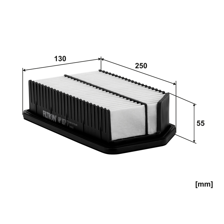 Air filter Filtron AP 107/7
