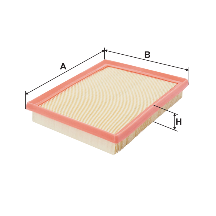 Air filter Filtron AP 170/3