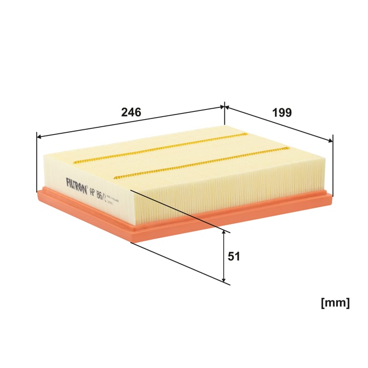 Buy Filtron AP 186/2 at a low price in United Arab Emirates!