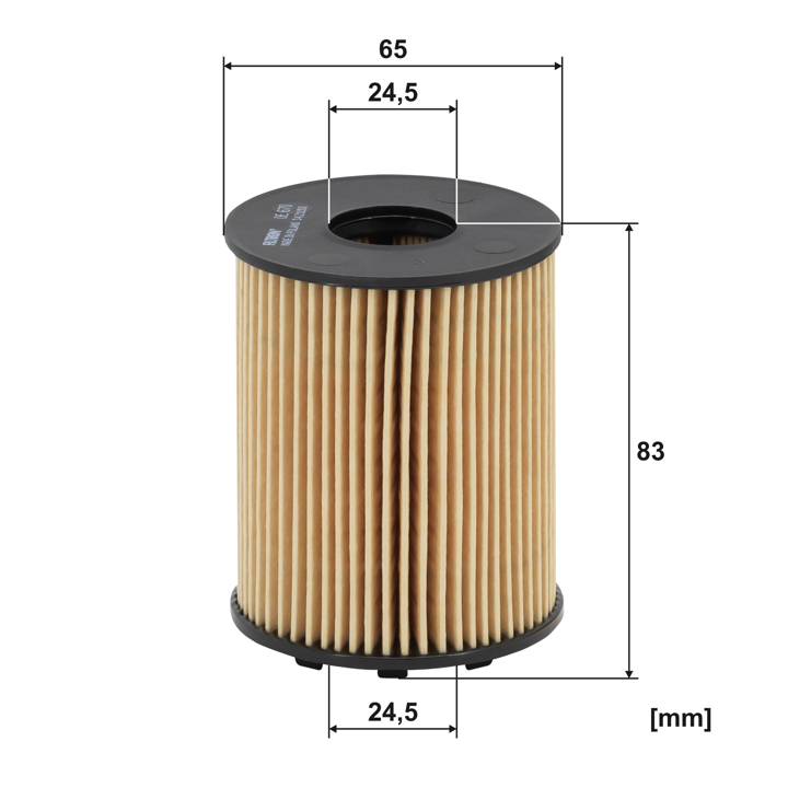Buy Filtron OE 670 at a low price in United Arab Emirates!