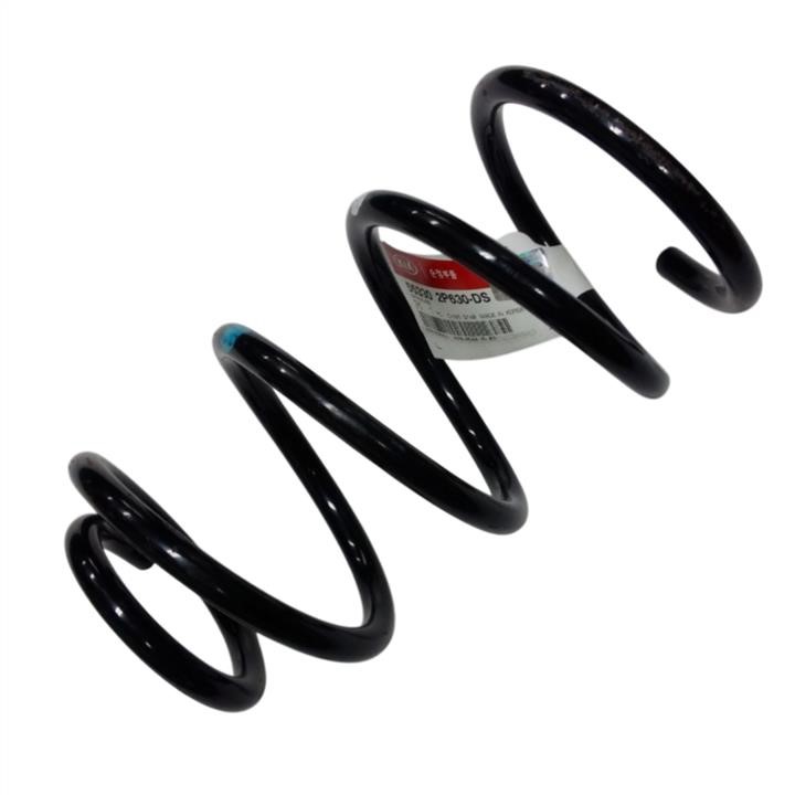 553302P630DS Hyundai/Kia Rear coil spring