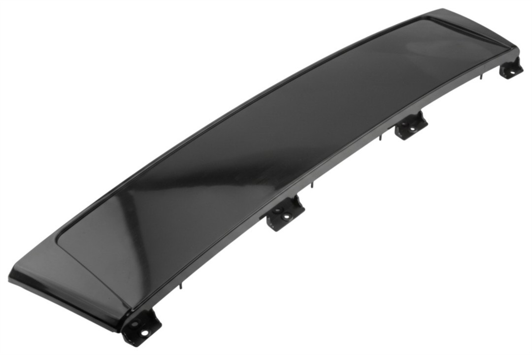 EZCAU269 NTY license plate trim